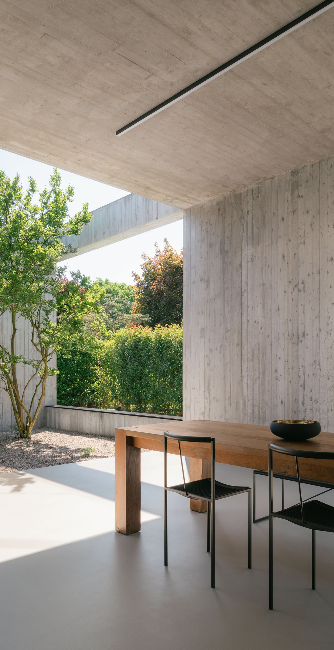 Elementi vegetali scelti con cura si insinuano tra i volumi in calcestruzzo, ammorbidendo la composizione architettonica.